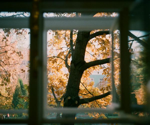 Mountain landscape seen through a clear window frame