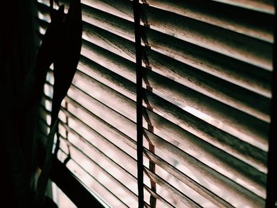 Soft natural light filtering through window blinds